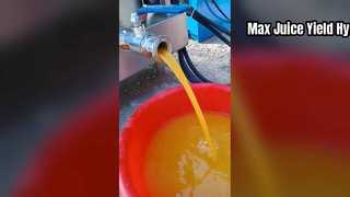 Leistungsstarker hydraulischer Entsafter für den gewerblichen Einsatz