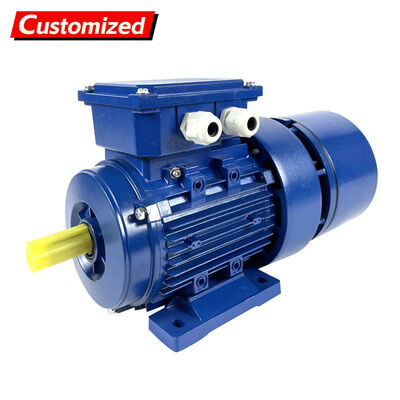 Ein guter Preis. Energieeffizienz-Champion Verstellbarer Geschwindigkeitsmesser-Reduktor Motor 0,55-315kW Industrie-Grade IE3 und IE2 Motoren Online
