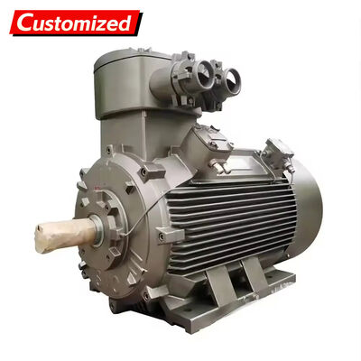 Ein guter Preis. Explosionsgeschützter Drehstrom-Asynchronmotor nach Maß mit 50 Hz Frequenz und 22 kW Leistung für industrielle Anwendungen Online